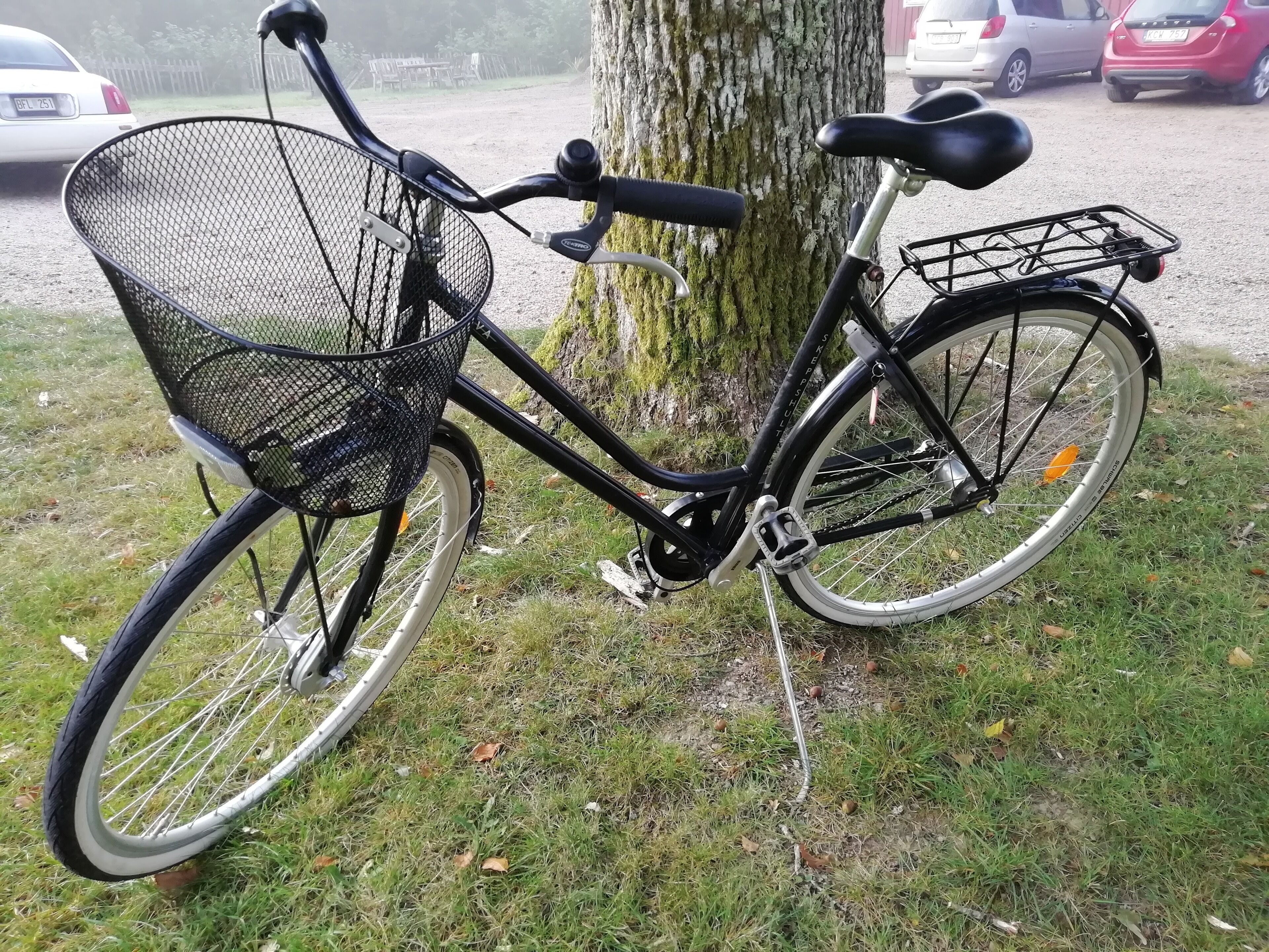 A stationary bicycle with a basket and a water bottle holder, parked on grass next to a tree.