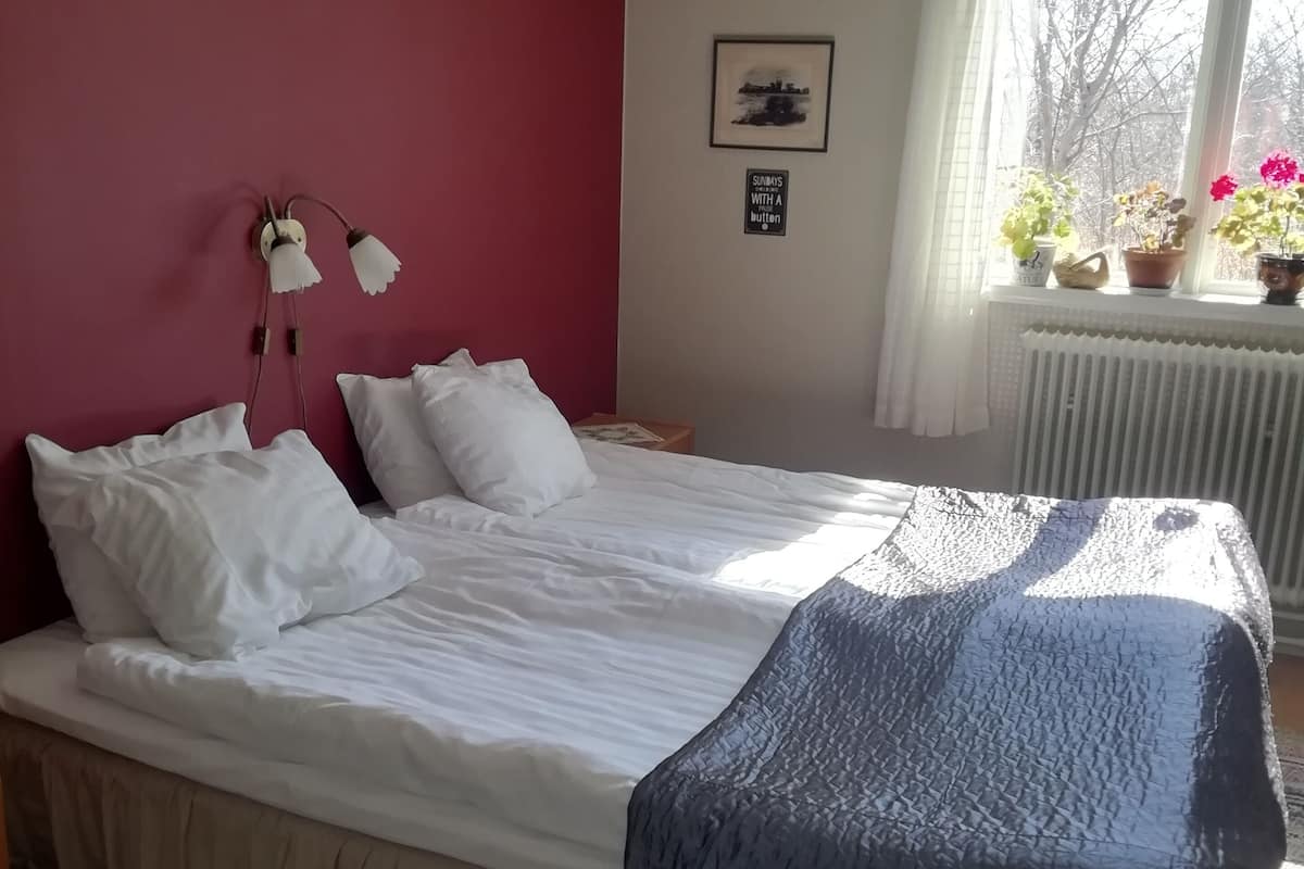 Camera doppia, bagno condiviso | Ferro/asse da stiro, Wi-Fi gratuito, lenzuola