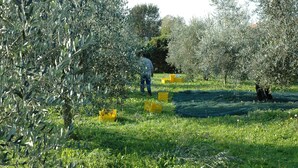 Exterior - All' Antica Scuderia del Castello (Maiano)