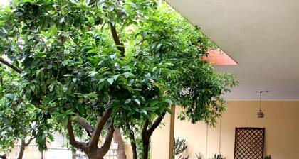 Bed and Breakfast L'Aranceto