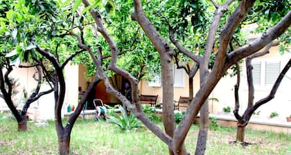Bed and Breakfast L'Aranceto