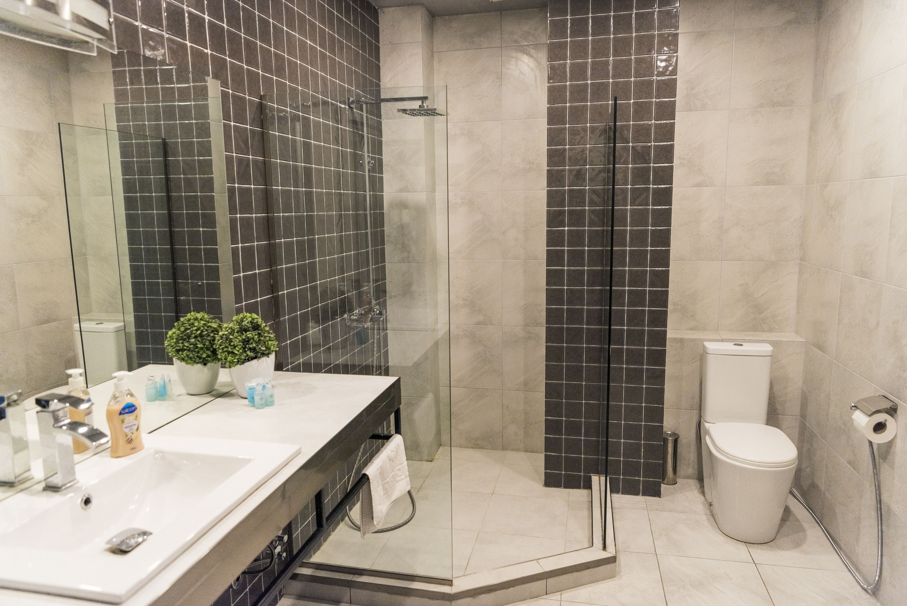 A modern bathroom with a glass-enclosed shower, a white sink, and a toilet.