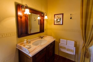 Shower, hair dryer, bidet