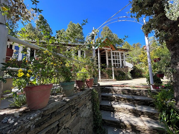 Garden - Frozen Woods Resorts (Kosiyakutoli)