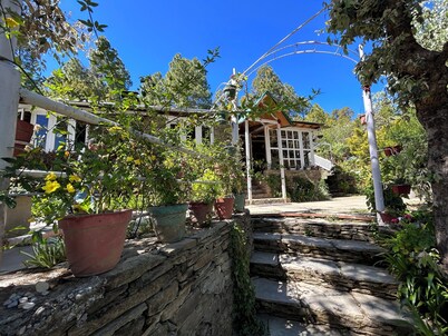 Frozen Woods Resorts