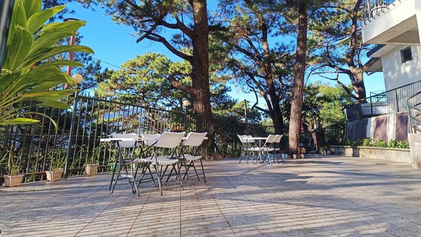An outdoor seating area with tables and chairs, surrounded by large trees and potted plants. - Vista de Pino (Baguio)