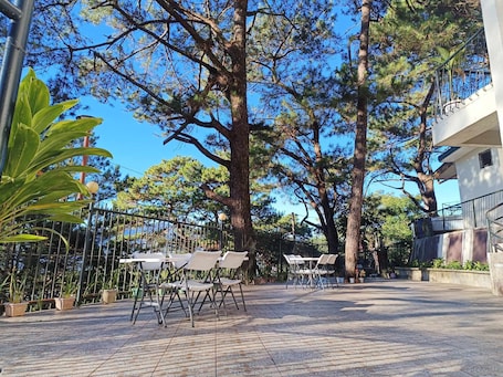 Terrace/patio. Vista de Pino