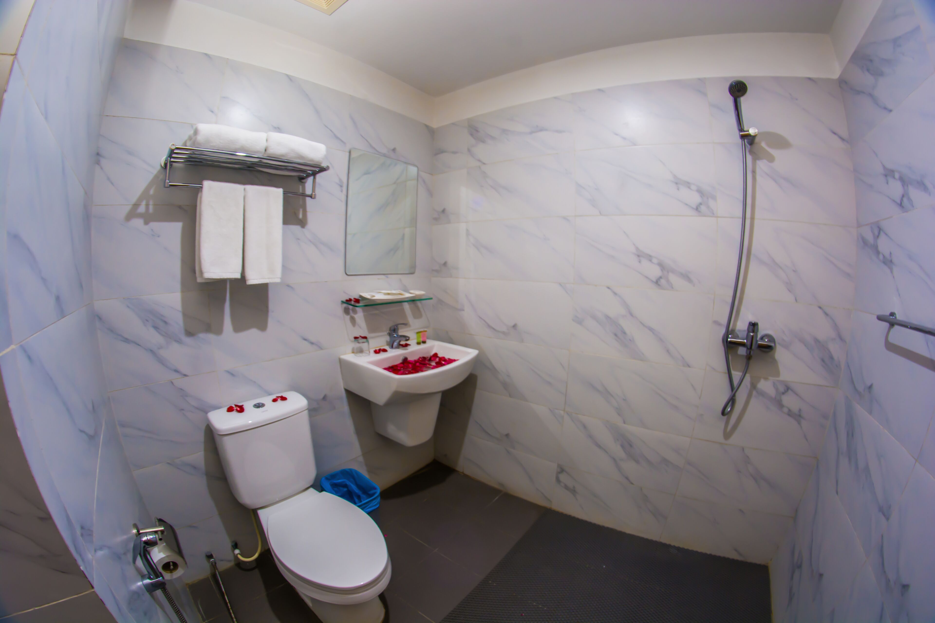 deluxe suite | bathroom | shower, free toiletries, hair dryer, slippers