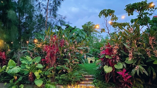 A garden with various plants and a stone pathway. - Okinawa starry forest cottage (Onna)