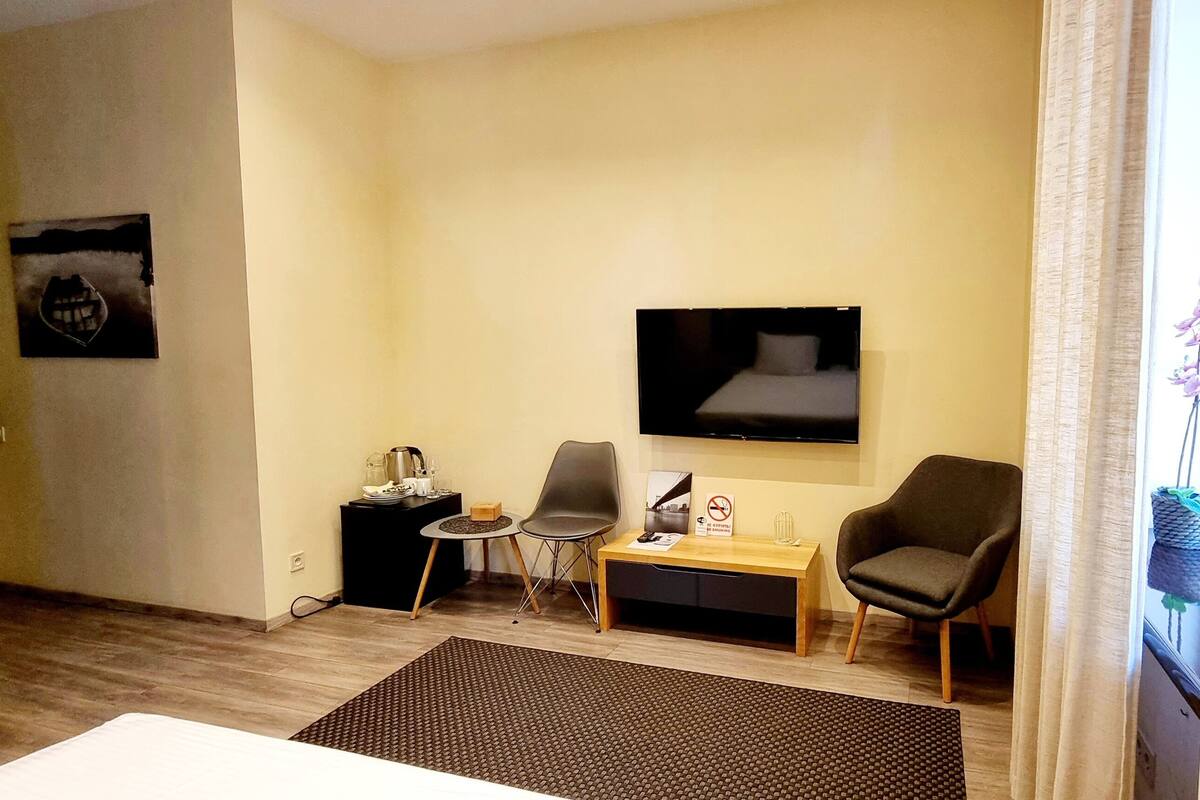 Habitación de hotel con cama, escritorio, dos sillas, televisor en la pared, una mesita con una planta y ventana con cortinas.