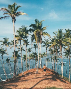 On the beach