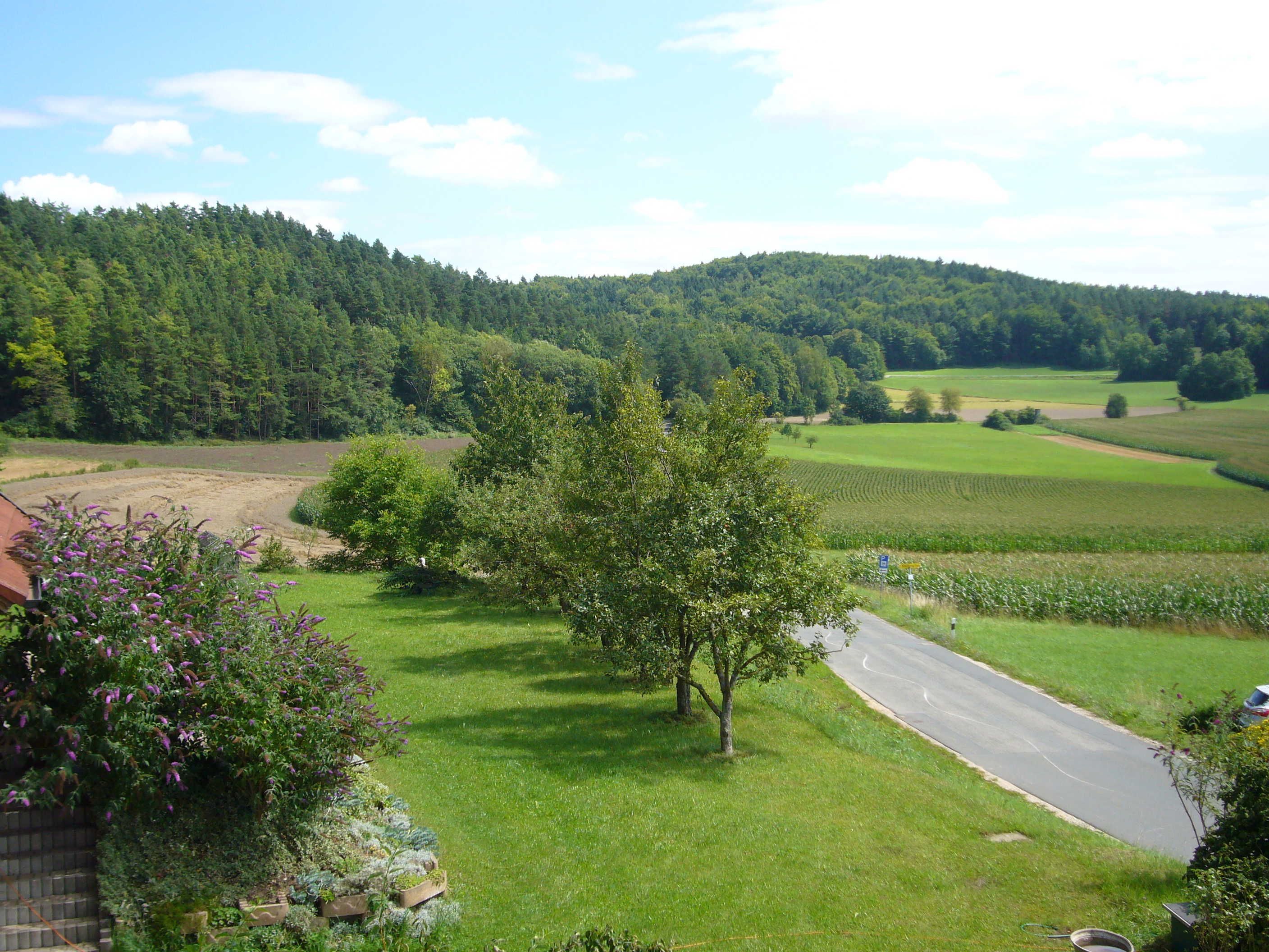 A rural landscape with a road, fields, and a forested hill.