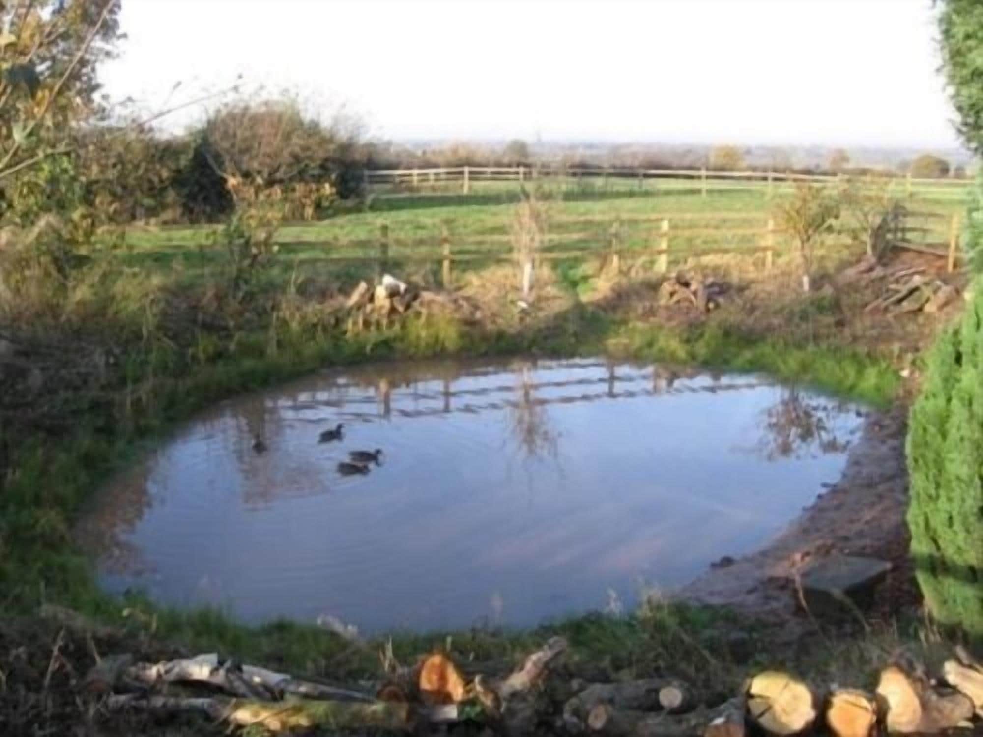 A pond surrounded by greenery and a wooden fence.