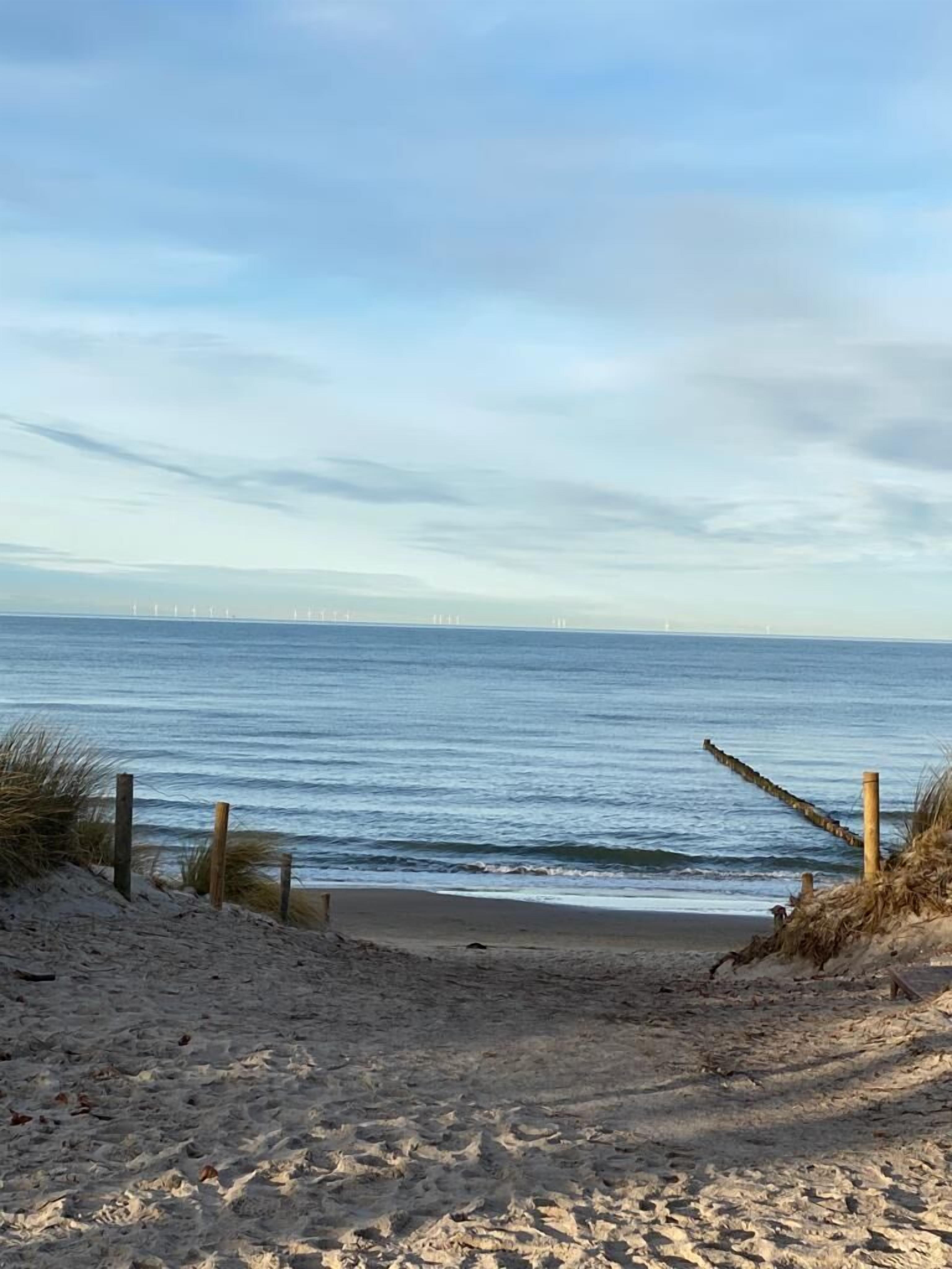A sandy beach with a wooden fence and grass on the dunes.