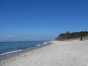 Beach nearby - Bright, cozy apartment, centrally located in a quiet area of Zingst with WLAN (Mecklenburg-Vorpommern)