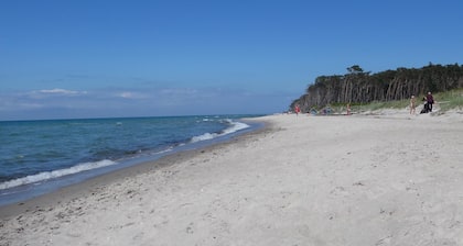 Bright, cozy apartment, centrally located in a quiet area of Zingst with WLAN