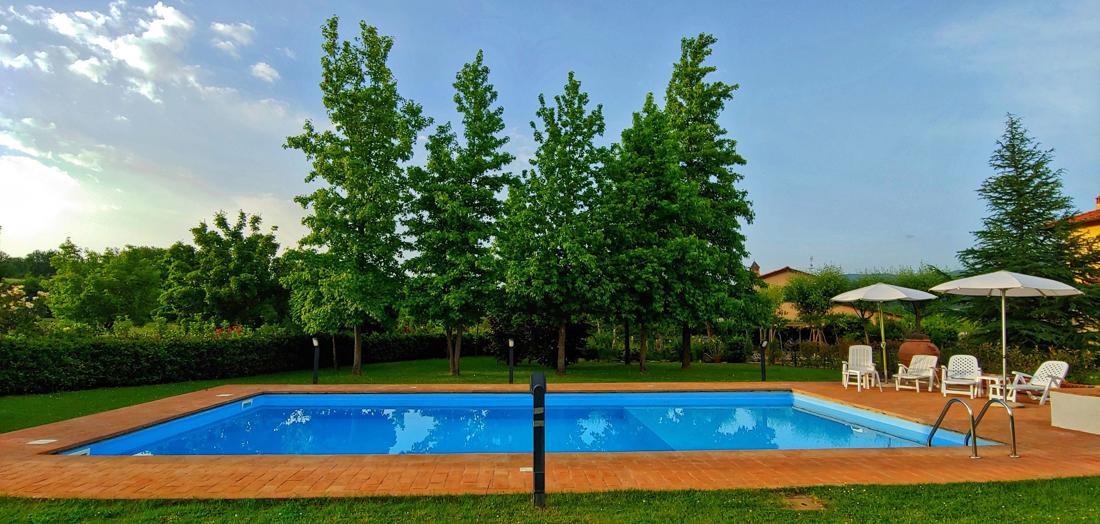 A rectangular swimming pool with a brick border, surrounded by a grassy area and trees.