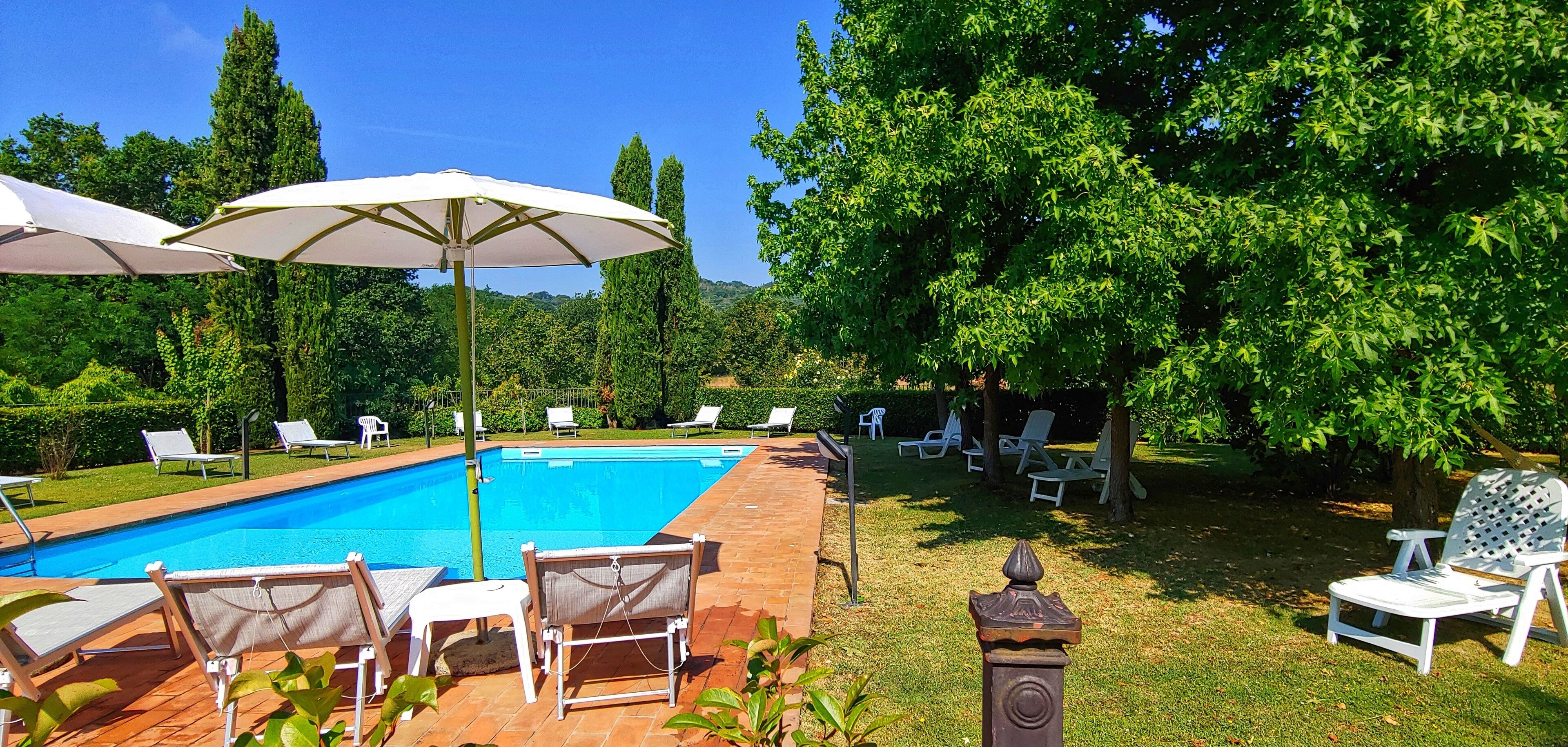 A swimming pool with lounge chairs and umbrellas, surrounded by greenery and trees.