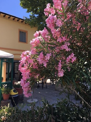 Terraço/pátio