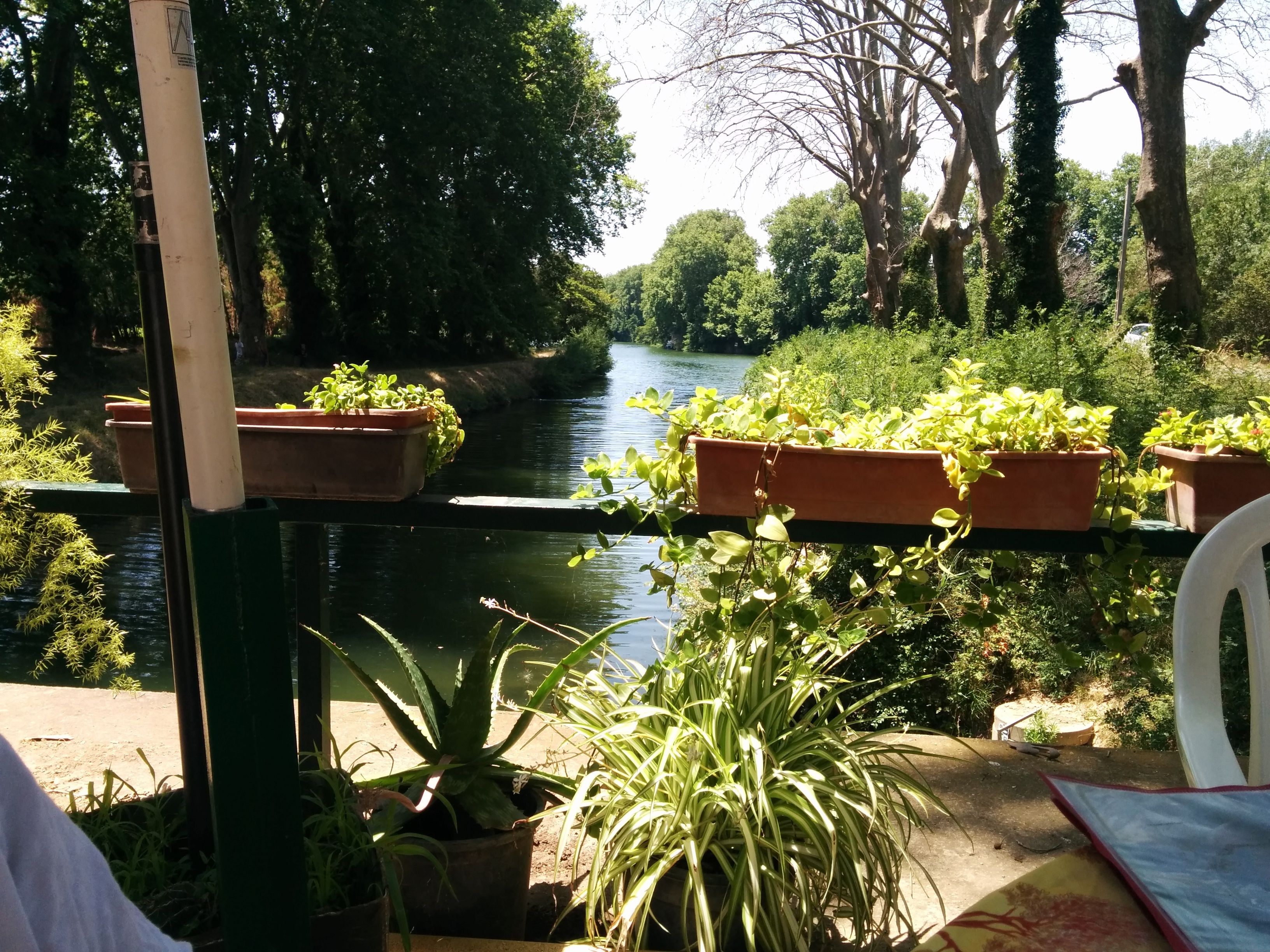 Vista a la orilla del río con plantas en macetas y una silla.