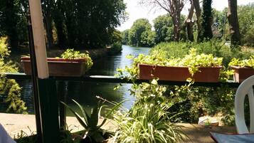 Vista a la orilla del río con plantas en macetas y una silla.