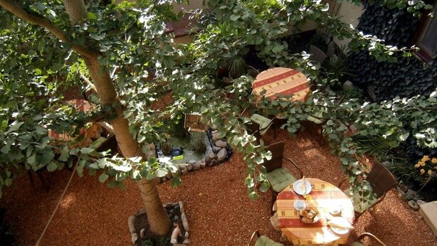 An outdoor seating area with a table and chairs, surrounded by plants and a tree. - Hotel zum Ginkgobaum (Stadtilm)