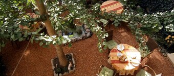 Hotel zum Ginkgobaum