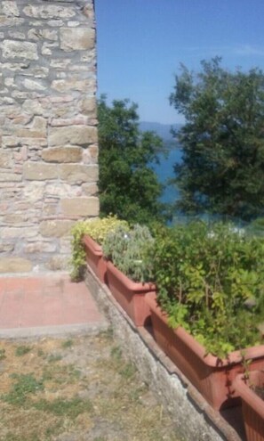 Vue depuis l’hébergement