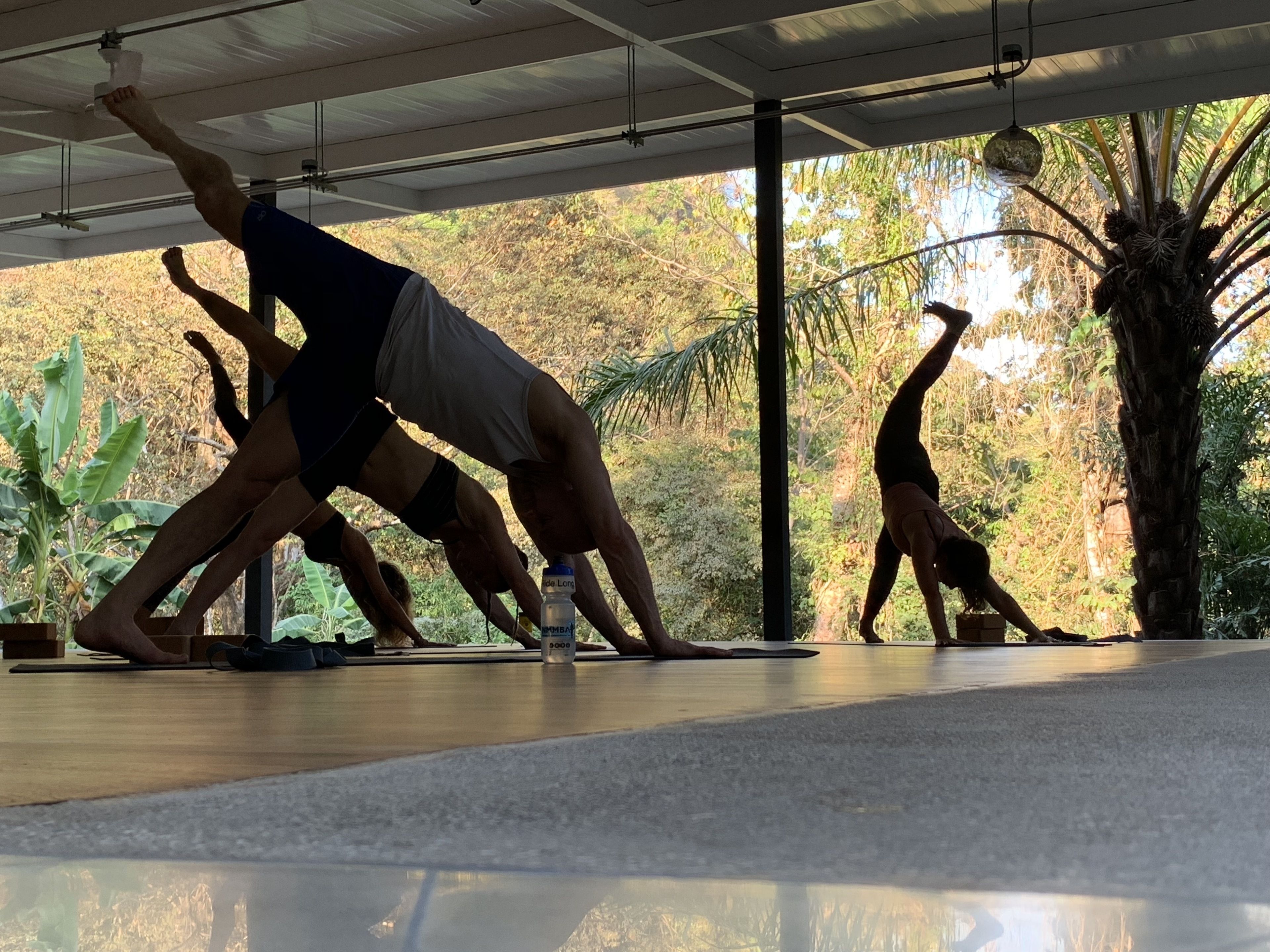 Yoga-Kurs in einem überdachten Außenbereich mit Holzboden und Blick auf Bäume und Grünpflanzen.