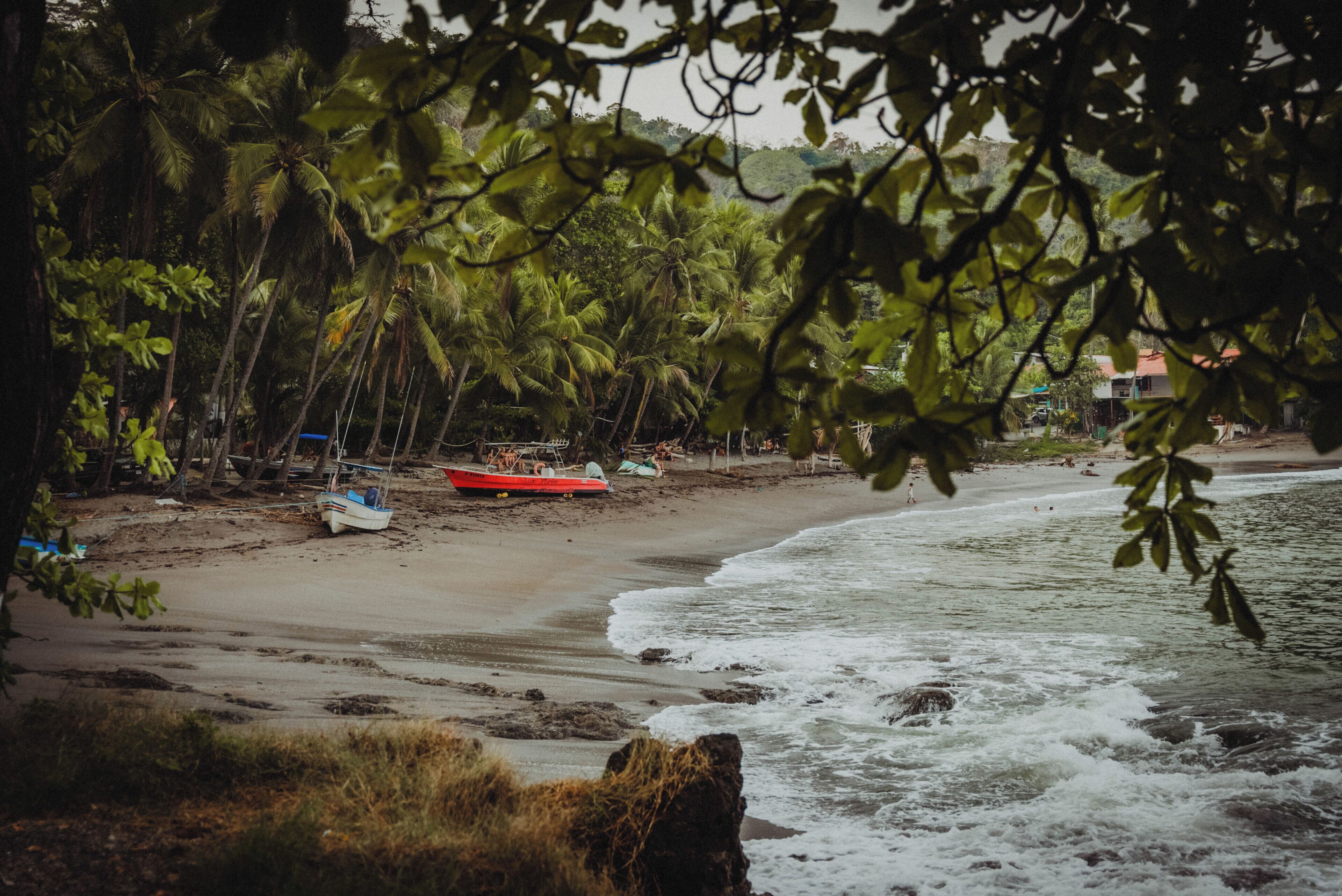 A beach with a boat, palm trees, and a rocky shoreline.