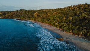 A coastal landscape with a beach, ocean, and dense forest.