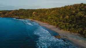 Paisaje costero con playa, océano y bosque denso.