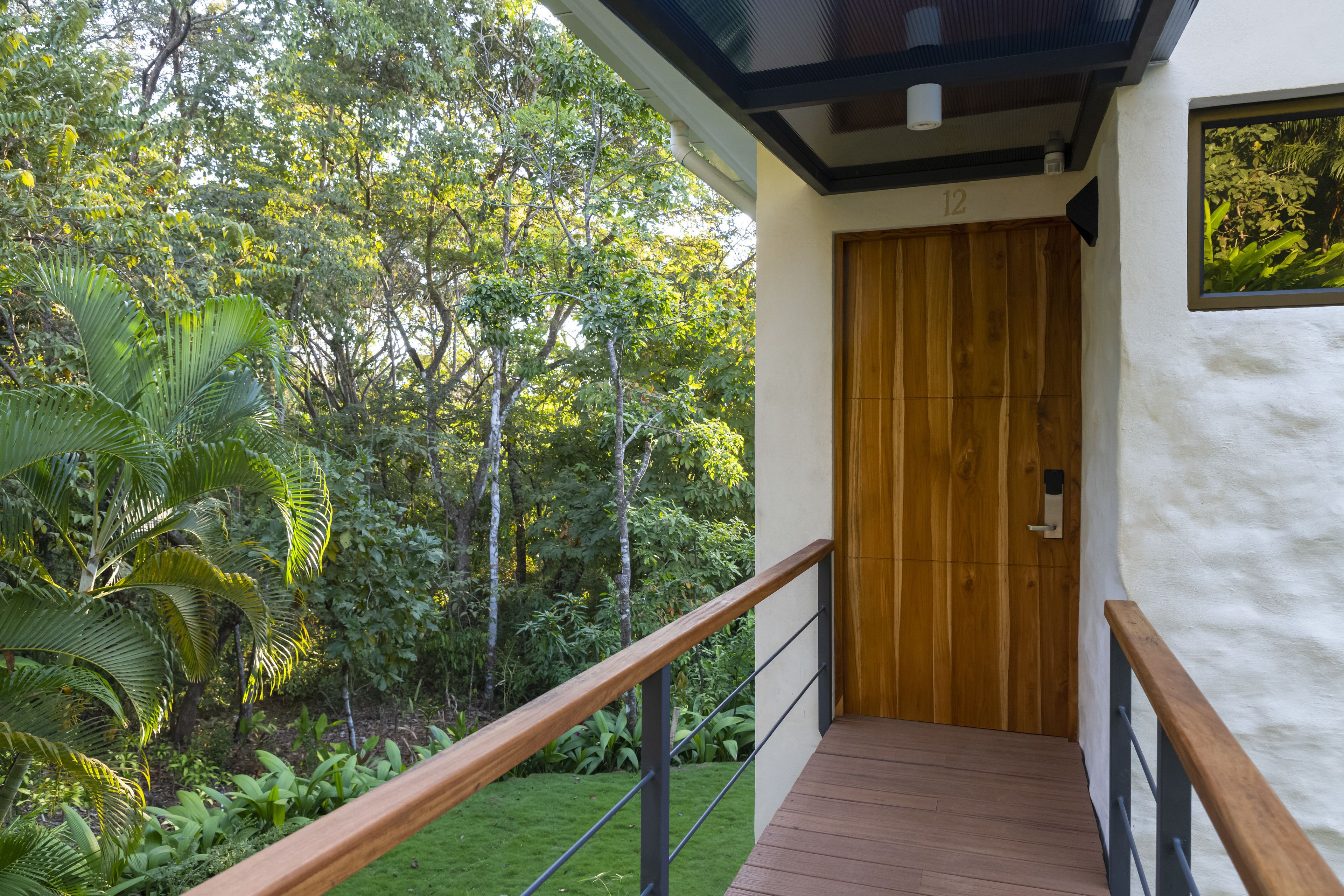 A wooden staircase leading to a door, surrounded by lush greenery and a white wall.