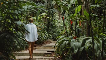Un sendero serpentea por una densa selva tropical, con una persona alejándose de la cámara.