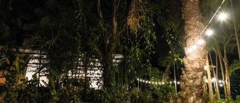 Un jardín nocturno con un camino de grava, palmeras y luces colgantes.