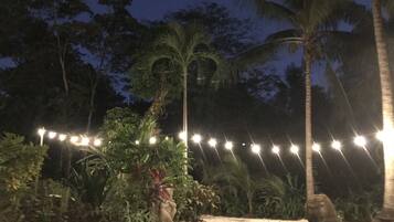 Un espacio al aire libre iluminado con luces colgantes, palmeras y un perro pequeño.