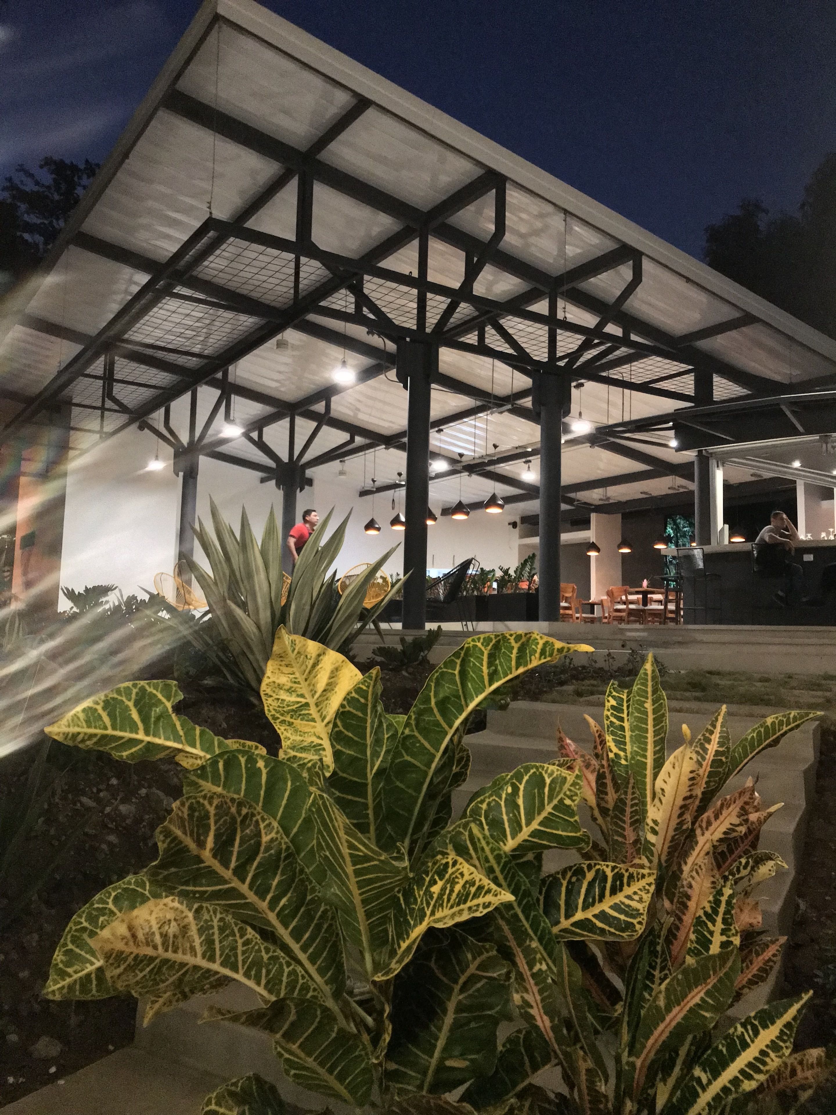 Un espacio al aire libre techado con estructura metálica y luces colgantes, rodeado de plantas de hojas grandes.