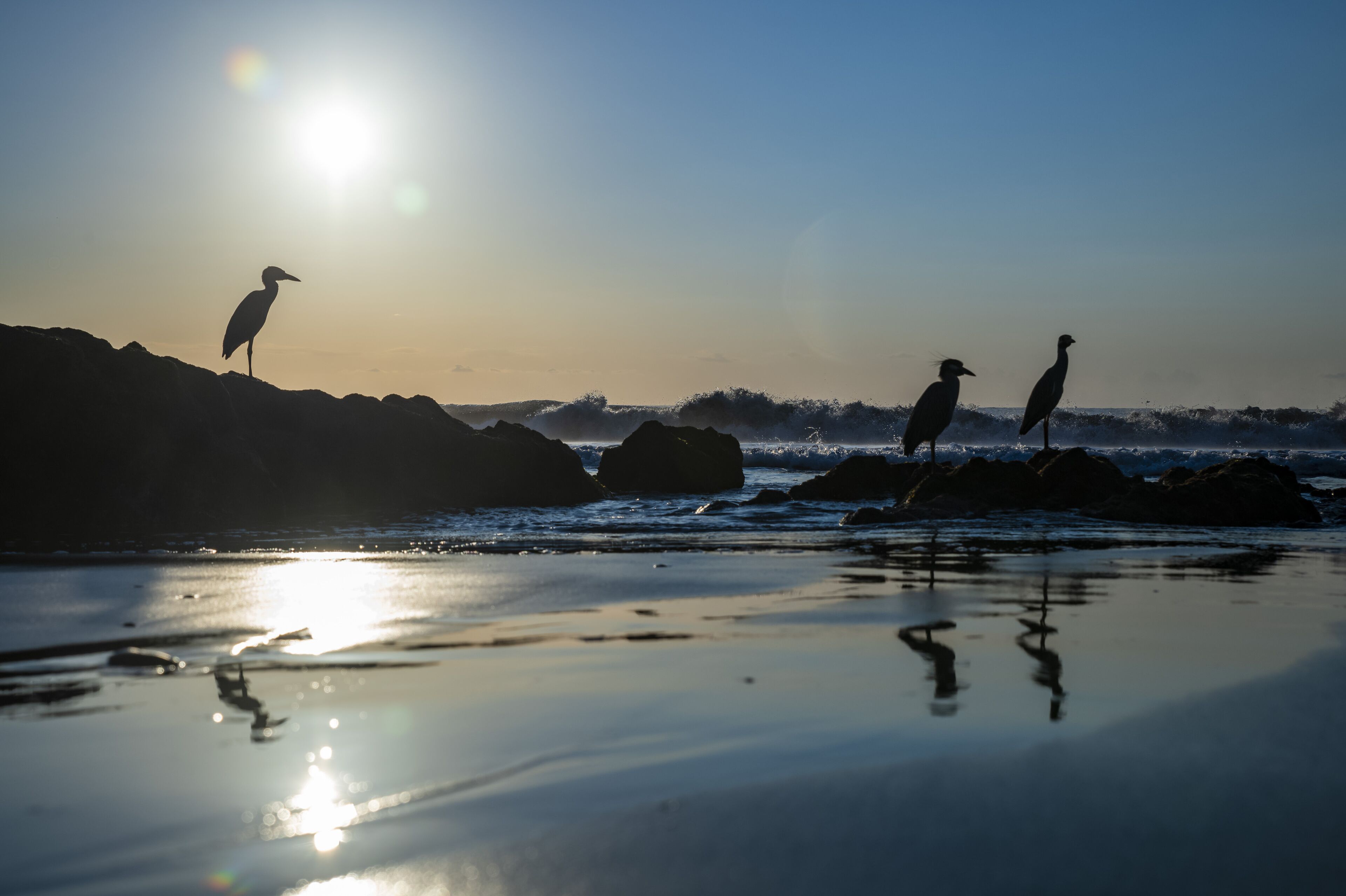 on the beach, beach towels