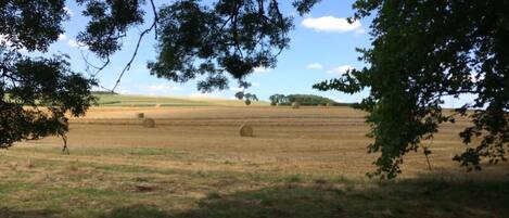 A rural landscape with hay bales in a field, surrounded by trees.