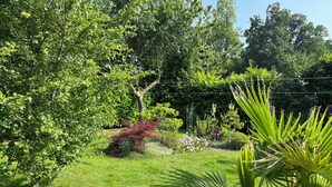 A lush garden with various plants and trees, a grassy lawn, and a wire fence in the background.