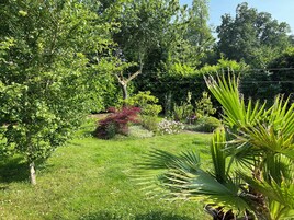 Um jardim exuberante com diversas plantas e árvores, gramado e uma cerca de arame ao fundo.