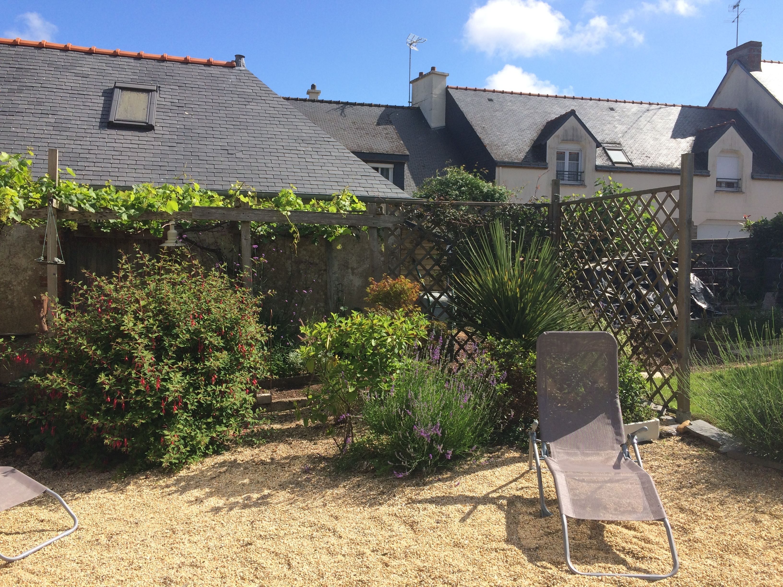 A garden with a variety of plants and a chair.