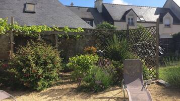 A garden with a variety of plants and a chair.
