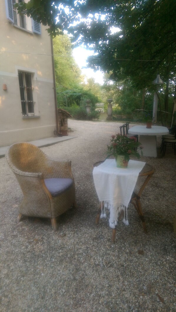 Garden