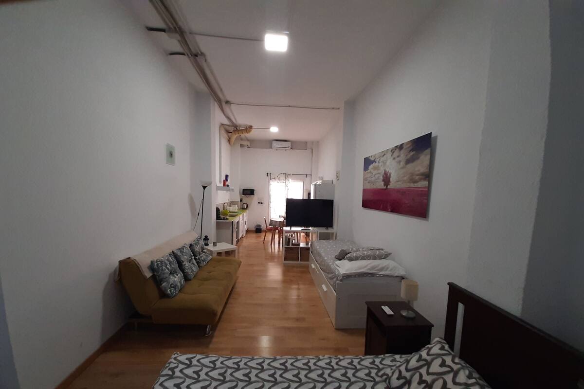 A compact living space with a sofa, a bed, a TV, and a kitchen area in the background.