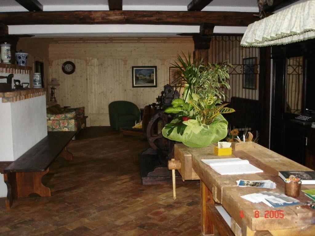 A rustic room with a wooden table, a bench, and a green chair. There is a plant on the table and a clock on the wall.
