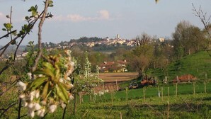 Paisaje rural con un pueblo al fondo, rodeado de campos verdes y árboles.