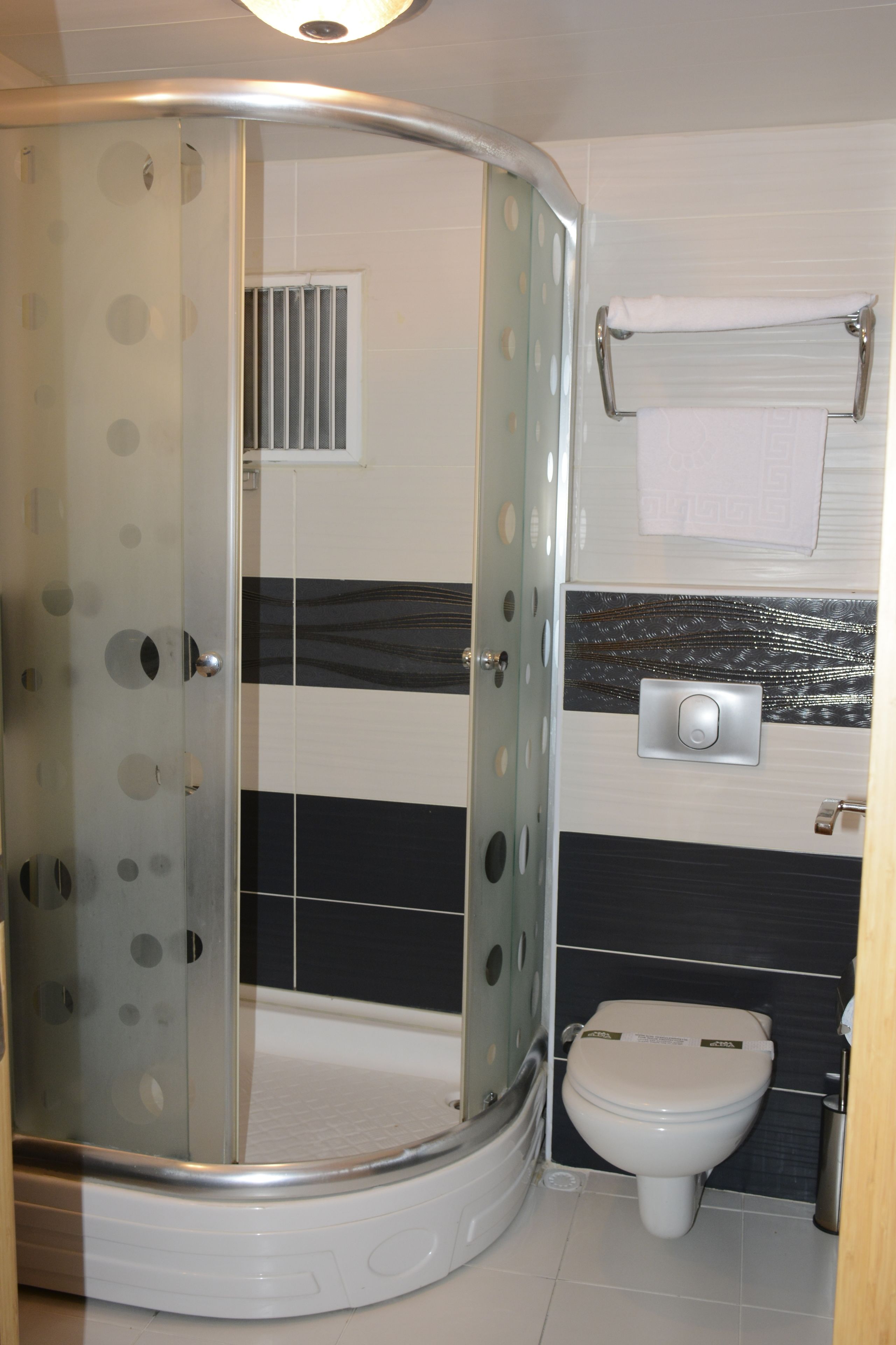 A bathroom with a glass-enclosed shower, a toilet, and a towel rack.