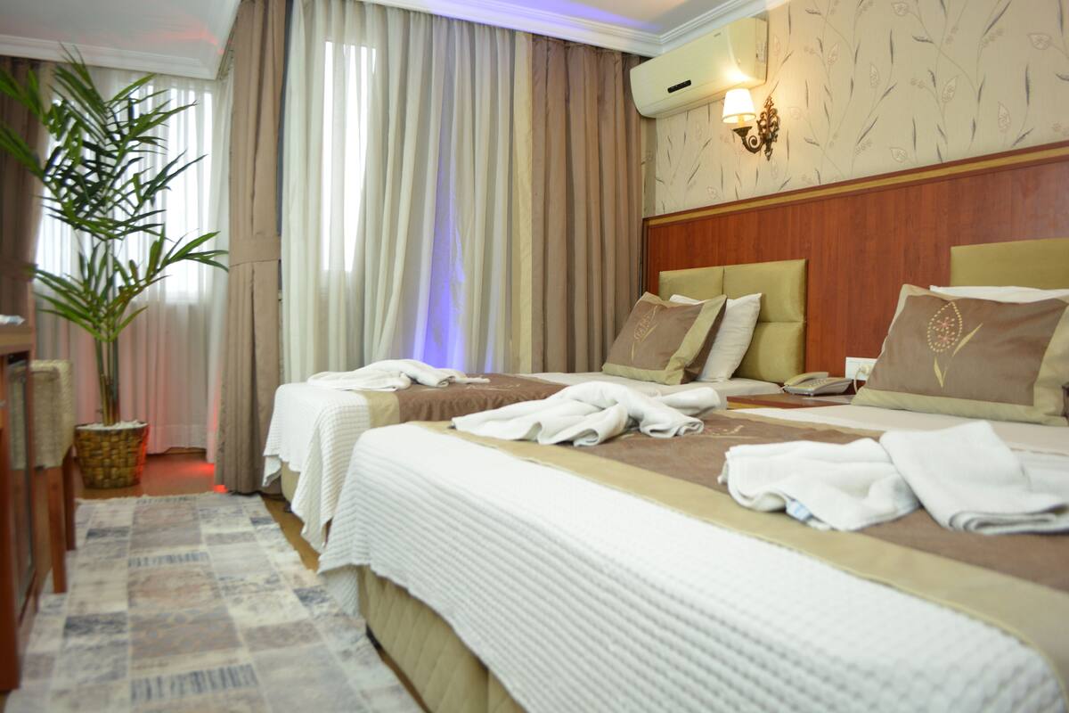 A hotel room with two beds, a large potted plant, a wall-mounted phone, and a patterned rug.