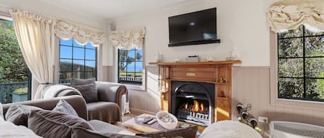 Smart TV, chimenea y estéreo